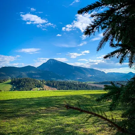 Traditional Deer With Sauna - Srnacie 샬레