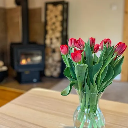 Chalet Traditional Deer With Sauna - Srňacie *