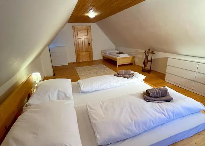 Traditional Deer With Sauna - Srnacie *