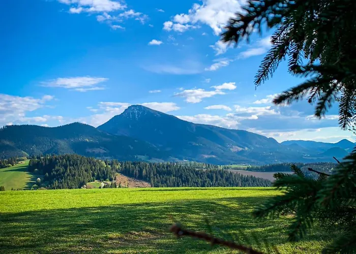 Traditional Deer With Sauna - Srnacie Шале