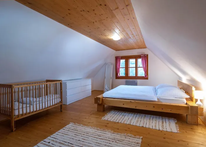 Traditional Deer With Sauna - Srnacie